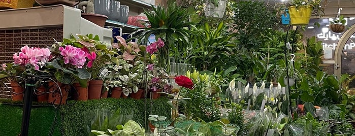 My Garden is one of Locais curtidos por Maryam.