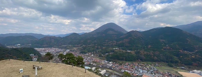 津和野城跡 is one of 100 "MUST-GO" castles of Japan 日本100名城.