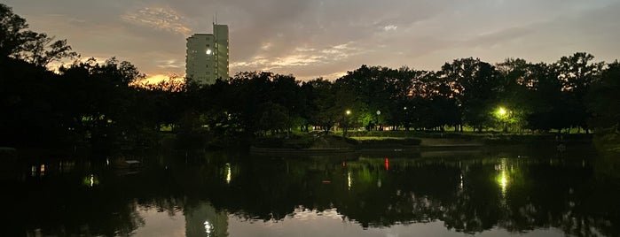 豊ヶ丘南公園 is one of Park.