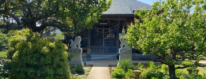 井野天満神社 is one of 訪問した寺社仏閣.