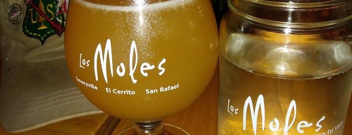 Los Molés Restaurant And Beer Garden is one of Dinner.