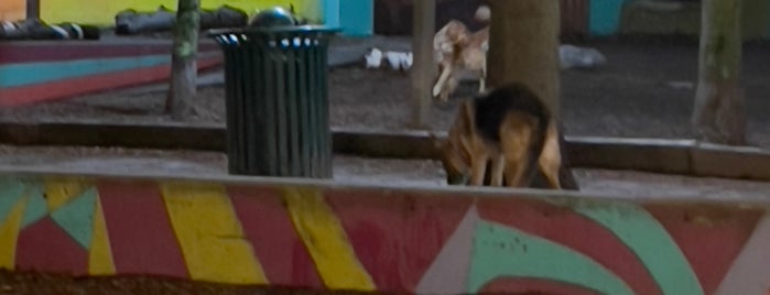 Belltown Dog Park is one of Favorite Great Outdoors.