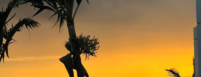 Herbivores is one of Hawai’i.