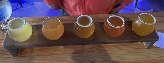 California Wild Ales is one of Craft Beer Hot Spots in San Diego.