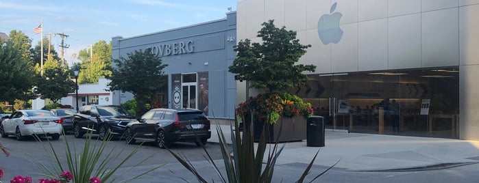 Apple Suburban Square is one of Apple Stores US East.