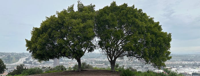 The Point is one of The 15 Best Scenic Lookouts in San Diego.