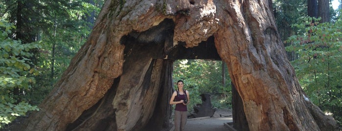 CA State Parks with Junior Ranger Programs