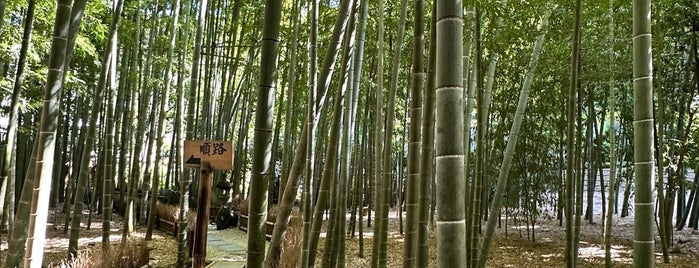 竹の庭 is one of Orte, die Katsu gefallen.