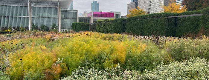 Lurie Garden is one of Chicago.