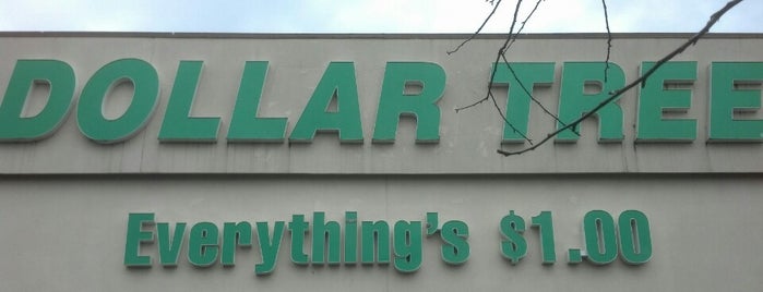 Dollar Tree is one of Gaylaさんのお気に入りスポット.
