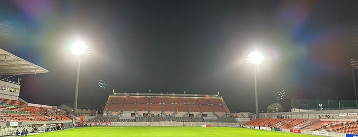 NACK5 Stadium Omiya is one of 店舗&施設.