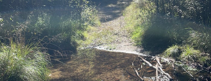 Tidbinbilla Nature Reserve is one of Canberra's Outdoor Running, Walking, Riding Trails.