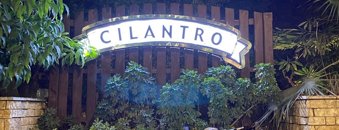 Cilantro is one of I've been to and Love.