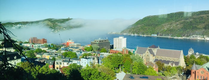 The Rooms Café is one of Newfoundland.