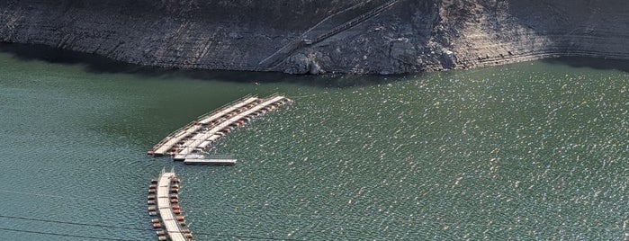 Floating Bridge is one of 奥多摩.