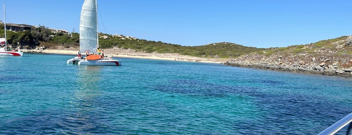 Ile Cavallo is one of Corsica 2021.