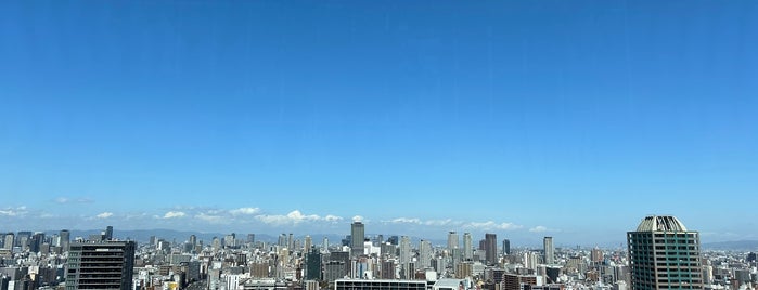 Abeno Harukas 16th Floor Garden is one of JAPAN Osaka.