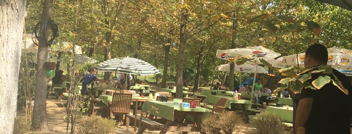 Yeşil Sera Cafe is one of cavlieats’s Liked Places.