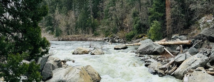 Yosemite Falls Viewpoint is one of West Coast trip.