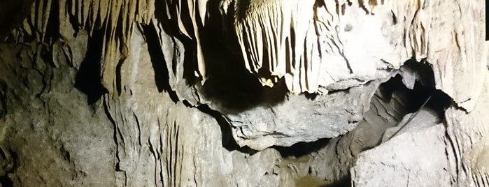Bogovinska pećina is one of Lugares favoritos de Jelena.