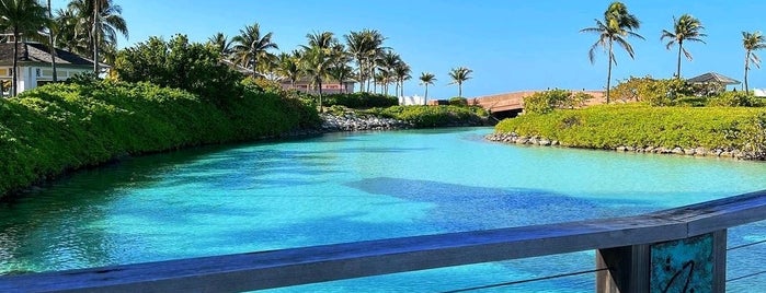 The Ocean Club, A Four Seasons Resort, Bahamas is one of Orte, die Lizzie gefallen.