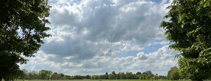 Petersham Meadows is one of London2.