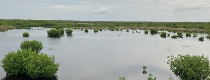 Observation Tower at Marsh Trail at Ten Thousand Islands National Wildlife Refuge is one of National Wildlife Refuge System (East).