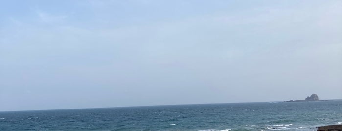 Yongmeori Beach is one of Jeju 2019.