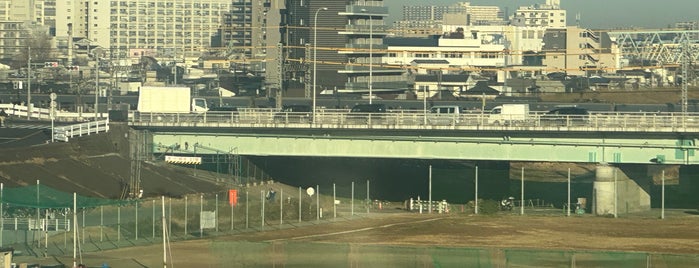 新荒川橋 is one of 橋/陸橋.