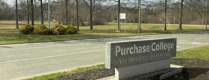 Purchase College is one of SCHOOLS.