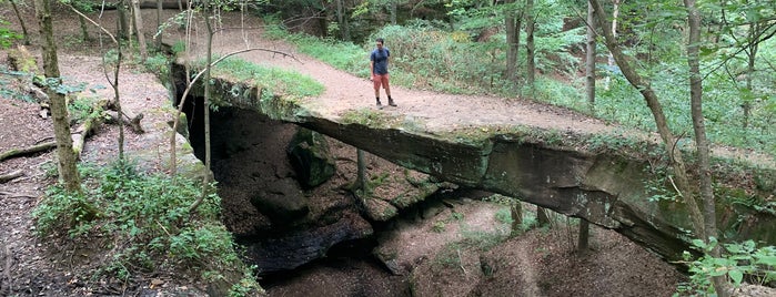 The Rockbridge is one of Hiking spots around Columbus.