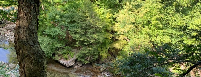 Tinker's Creek is one of Food Truck.