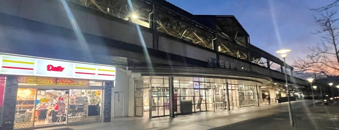 Hanazono Station is one of 京阪神の鉄道駅.