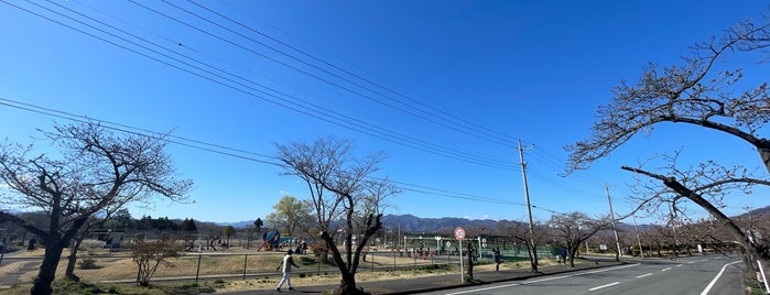 秩父聖地公園 is one of 行った場所.