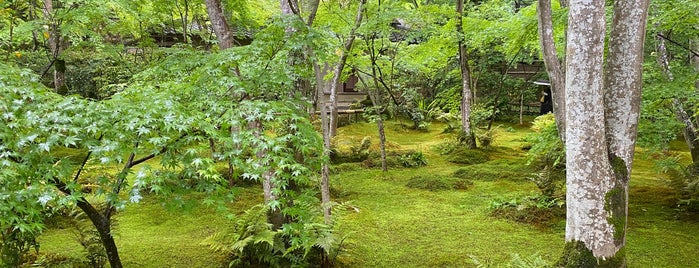Giouji Temple is one of Kyoto.