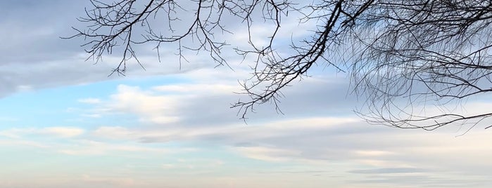 Rocky Point Beach Park is one of Baltimore To-Do List.