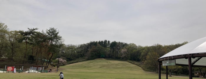 ぽんぽこマウンテン is one of 国営武蔵丘陵森林公園.