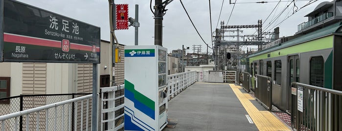 洗足池駅 (IK07) is one of 東京急行電鉄（東急） Tokyu.