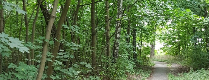 Rezerwat Przyrody Nieożywionej Bonarka is one of Orte, die Oksana gefallen.