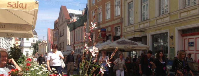 Restoran Ribe is one of Best Food In Tallinn.