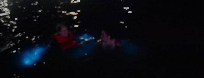 Luminous Lagoon, Falmouth is one of Lugares favoritos de Jessica.