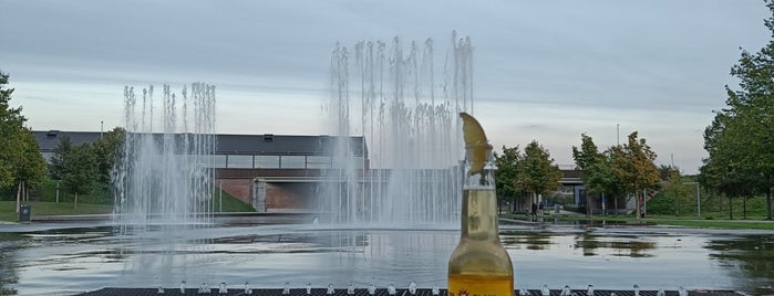 Bar Noord Zomerbar is one of Antwerp.