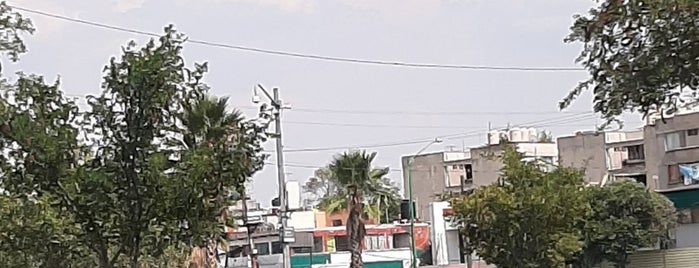 Barrio de Tepito is one of MÉXICO DF.