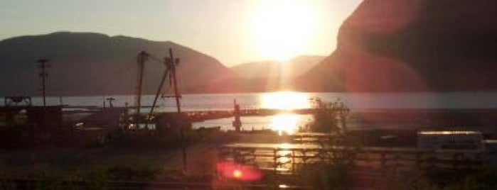 Shuswap Lake is one of Lizzieさんのお気に入りスポット.