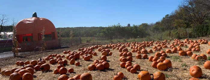 Pumpkin Patch Farm Stand is one of Long Island.