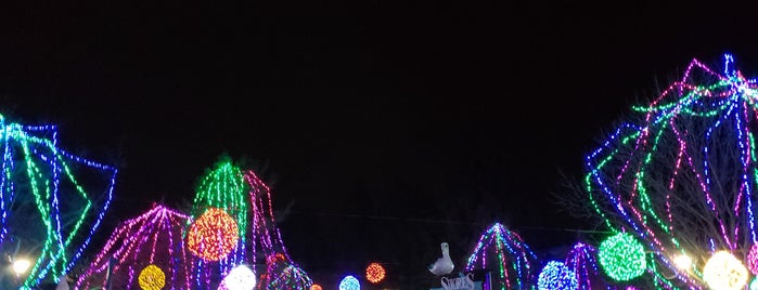 Columbus Zoo Wildlights Show is one of Best of Columbus.