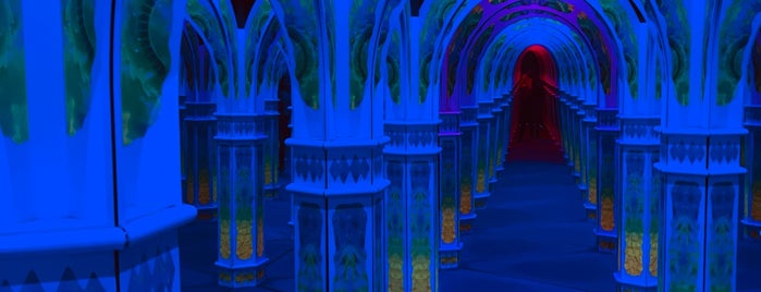 Magowan's Infinite Mirror Maze is one of With Amy.