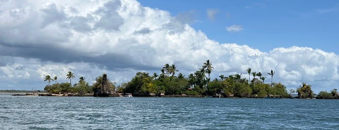 Ilha Da Pedra Furada is one of Praia na Bahia.