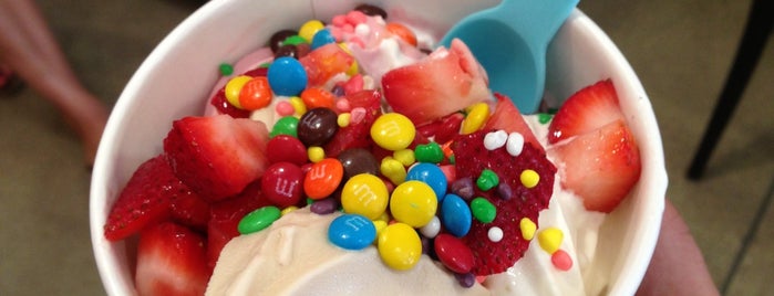 The Pump House Frozen Yogurt Bar is one of "Go-to" GR Favorites.