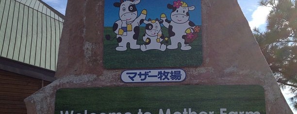 Mother Farm is one of Kid's Entertainment.